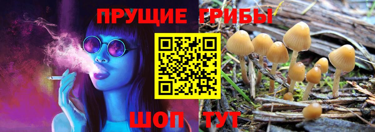 Псилоцибиновые грибы мухоморы  Вход с VPN  Галлюциногенные грибы Psilocybe  цены   Рузаевка 
